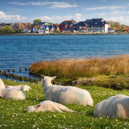 Ort Lemkenhafen Ostseeperle Fehmarn